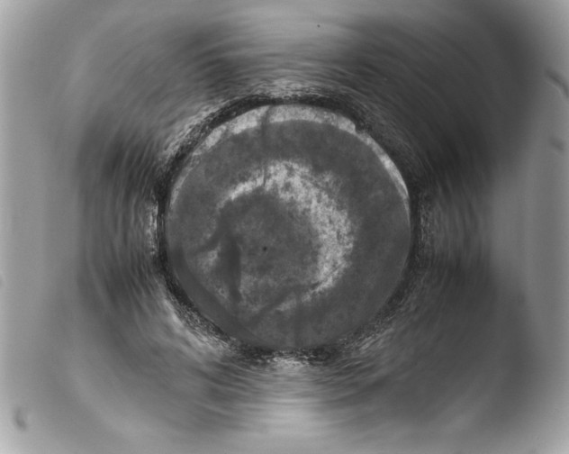 X0000103900592200810171616