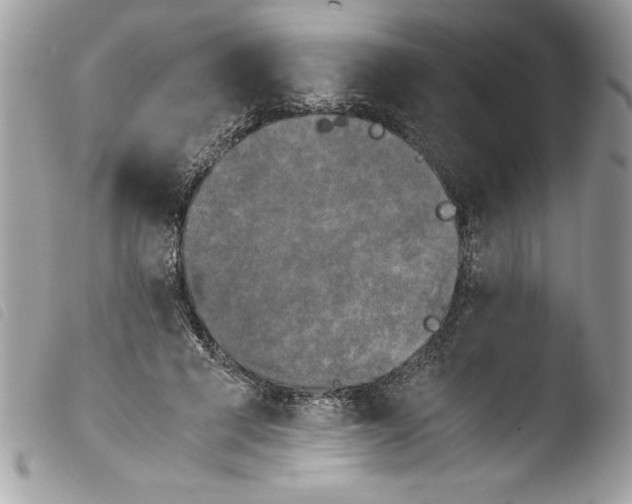 X0000103900593200810171616