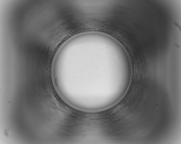 X0000103900595200810171616