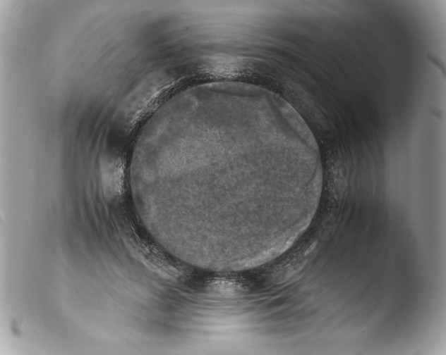 X0000103900596200810171616