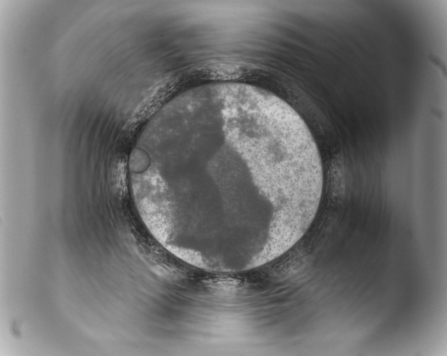 X0000103900598200810171616