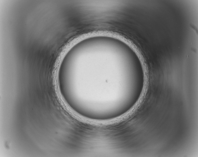 X0000103900599200810171616