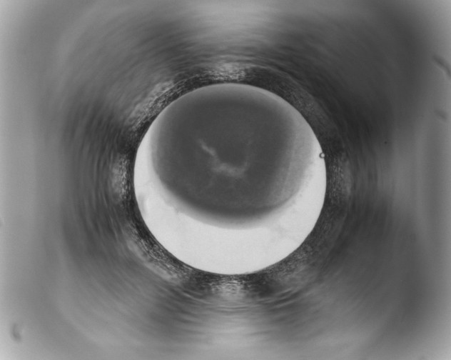 X0000103900600200810171616