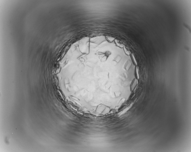 X0000103900601200810171616