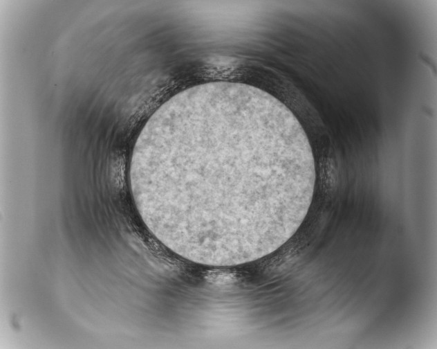 X0000103900602200810171616