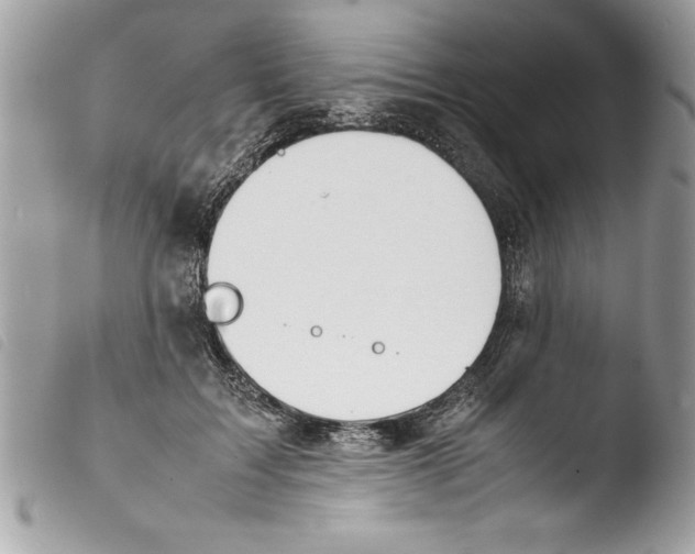 X0000103900603200810171616