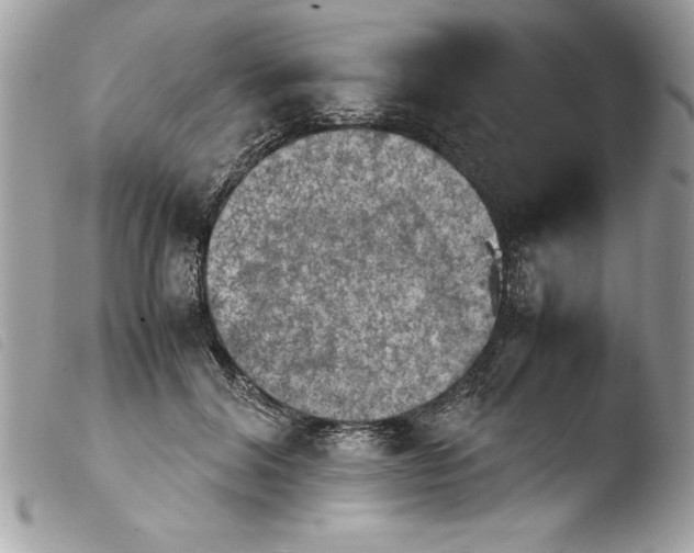 X0000103900604200810171616