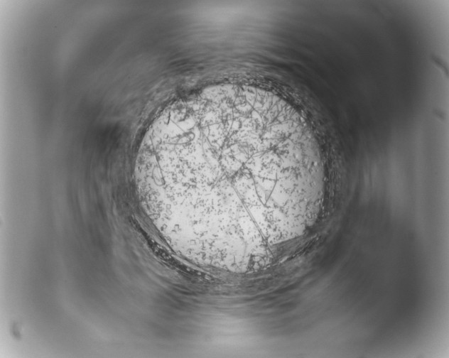 X0000103900605200810171616