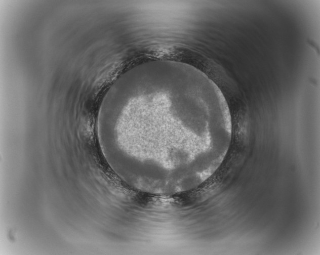 X0000103900607200810171616