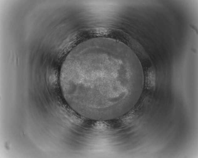 X0000103900608200810171616