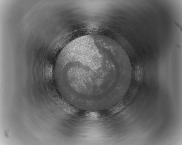 X0000103900610200810171616