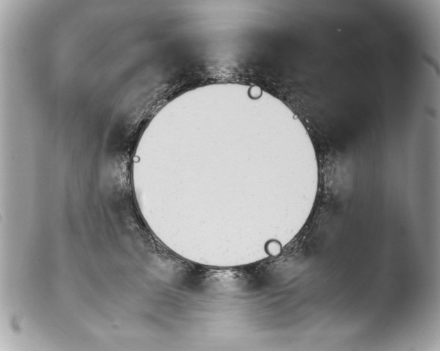 X0000103900611200810171616