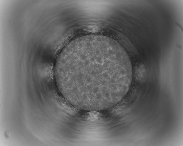 X0000103900612200810171616