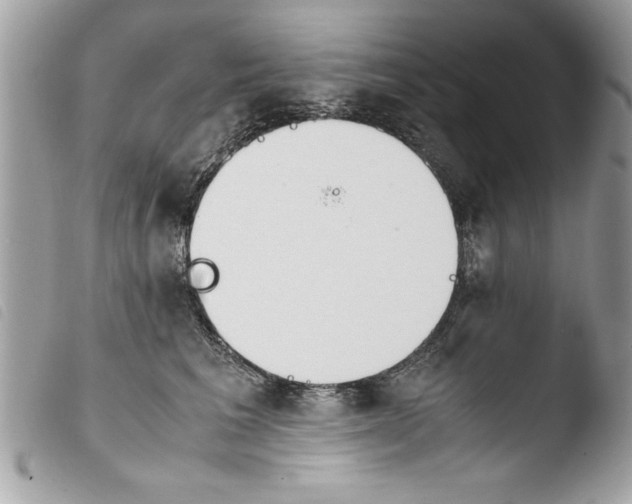 X0000103900613200810171616