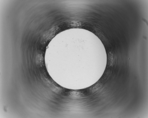 X0000103900614200810171616