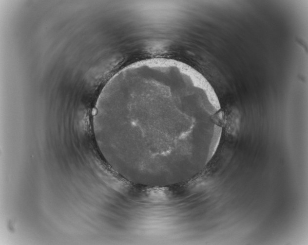 X0000103900618200810171616