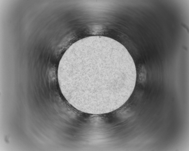 X0000103900620200810171615