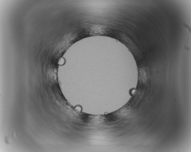 X0000103900621200810171615