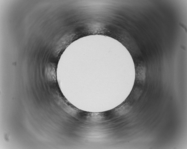 X0000103900622200810171615