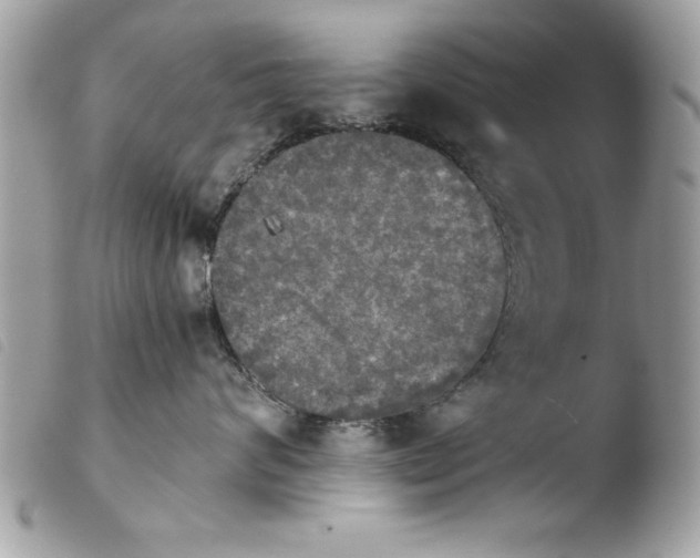 X0000103900624200810171615