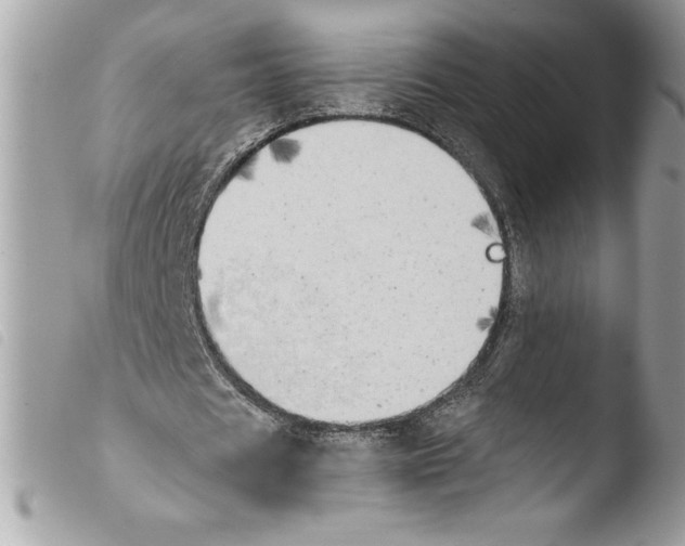 X0000103900625200810171615