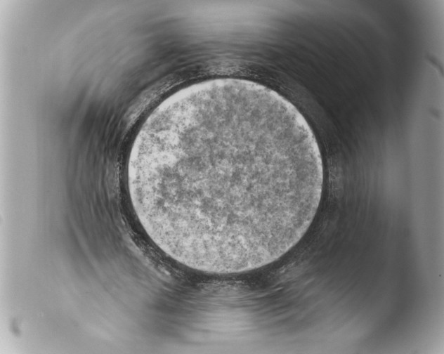 X0000103900626200810171615