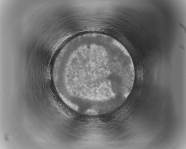 X0000103900628200810171615