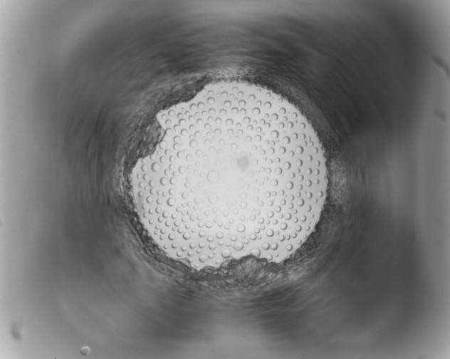 X0000103900631200810171615