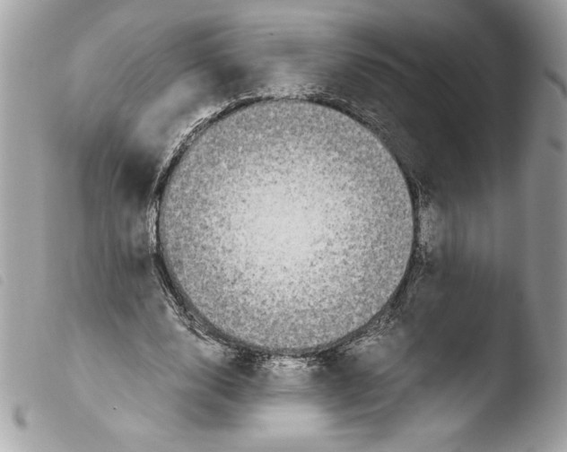 X0000103900632200810171615