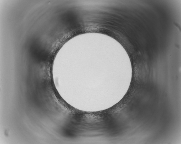 X0000103900633200810171615