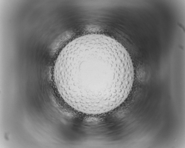 X0000103900635200810171615