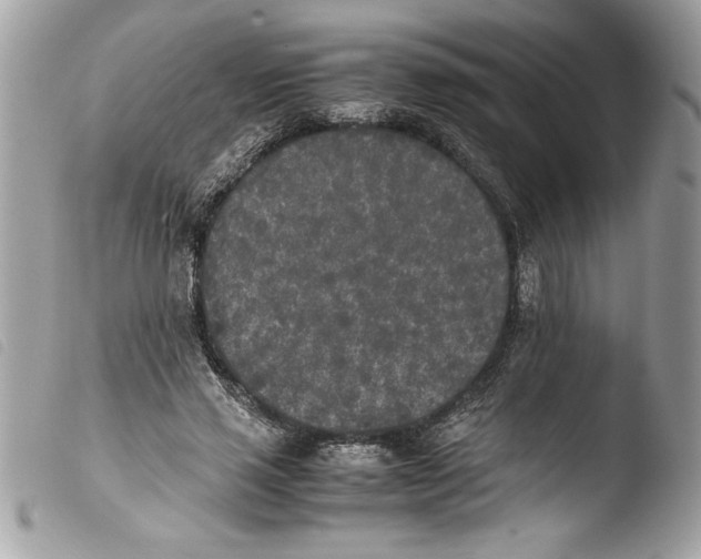 X0000103900637200810171615