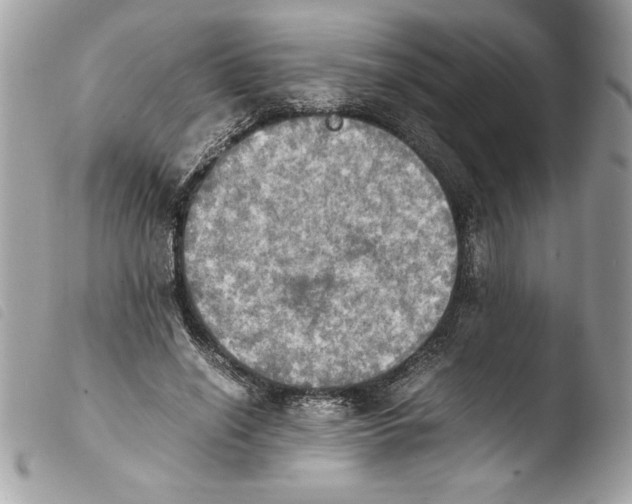 X0000103900638200810171615