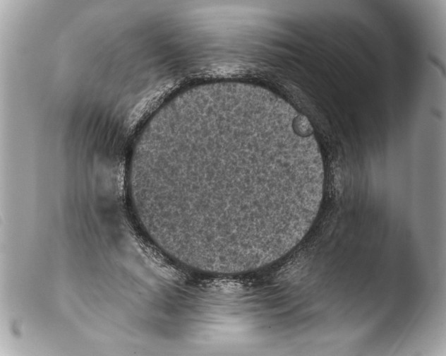 X0000103900640200810171615