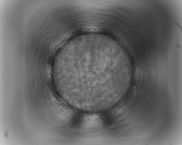 X0000103900643200810171615