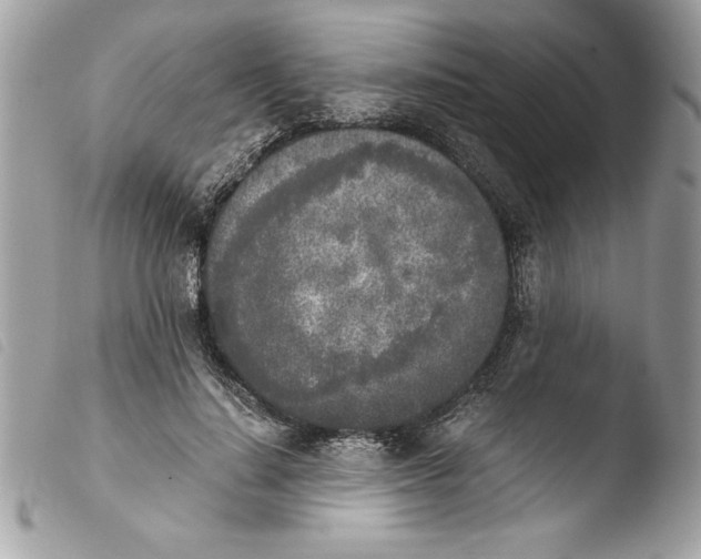 X0000103900644200810171615