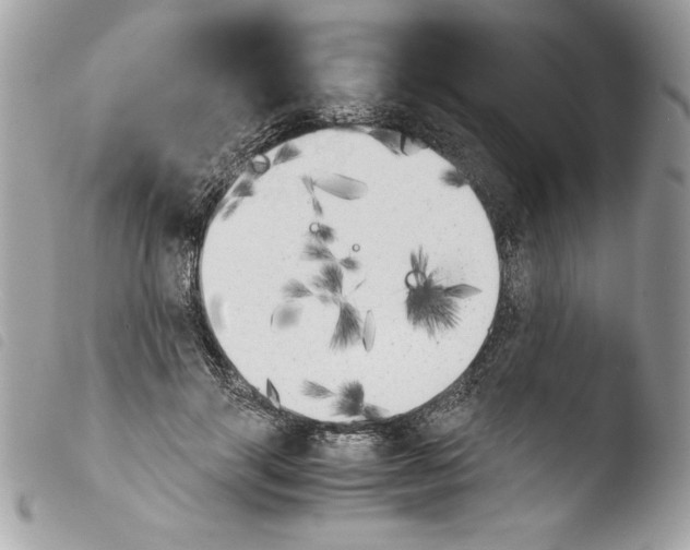 X0000103900645200810171615