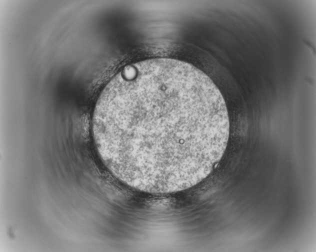 X0000103900646200810171615