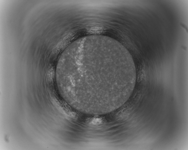 X0000103900647200810171615