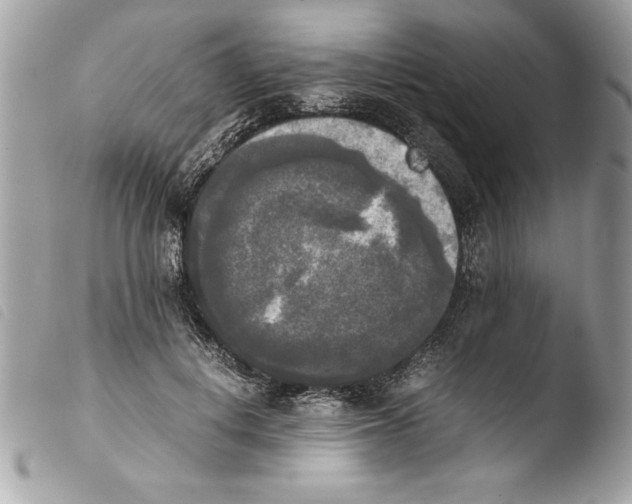 X0000103900648200810171615