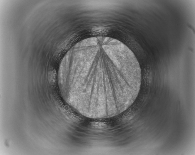 X0000103900649200810171615