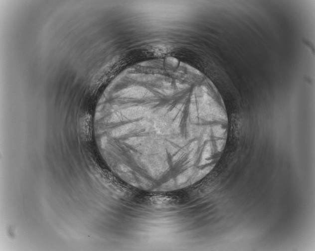 X0000103900650200810171615