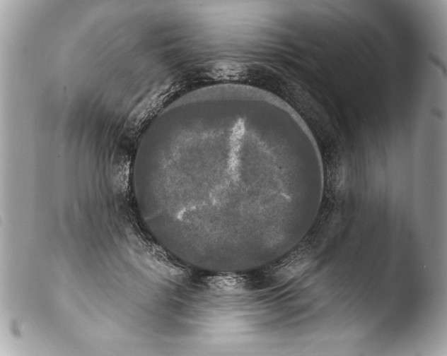 X0000103900652200810171615