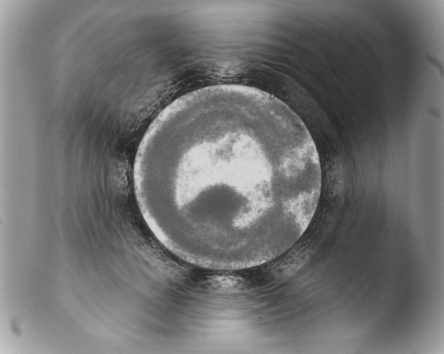 X0000103900654200810171615