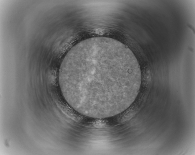 X0000103900656200810171615