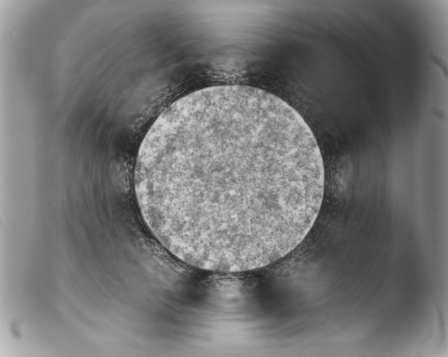 X0000103900658200810171615