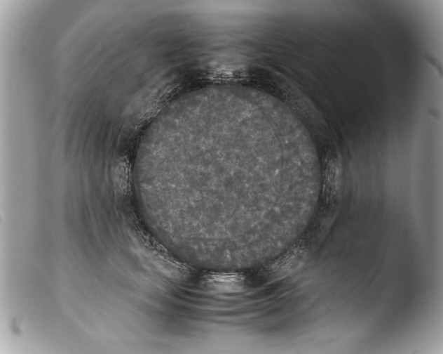 X0000103900659200810171615