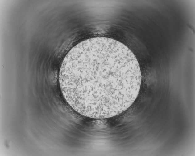 X0000103900660200810171615