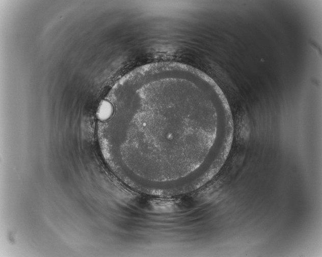 X0000103900661200810171615