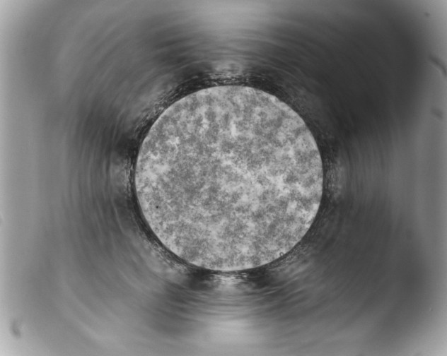 X0000103900662200810171615